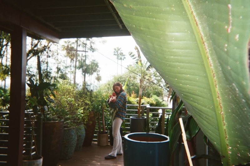 Иллюстрация 6