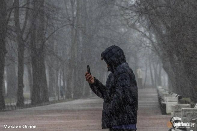 К 2028 году российский интернет может работать независимо от глобального — прогноз РАЭК