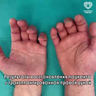 Иллюстрация 1