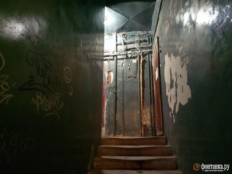 Иллюстрация 5