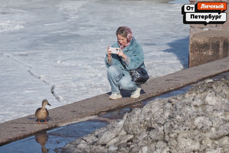 Иллюстрация 3