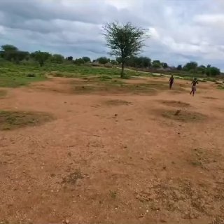 Иллюстрация 8