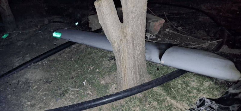 Иллюстрация 1