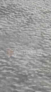 Иллюстрация 3