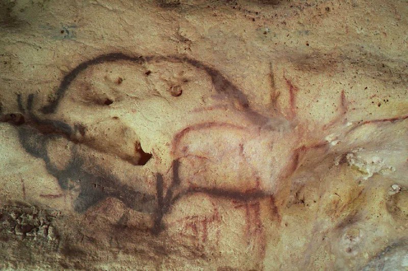 Впервые подтверждён возраст наскальных рисунков в пещере Фон-де-Гом