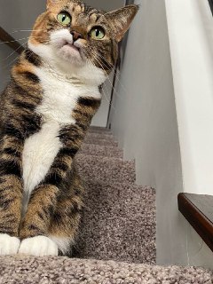 Иллюстрация 8