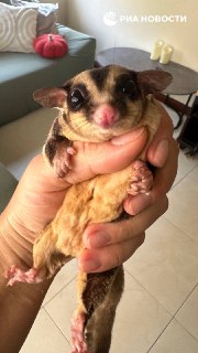 Иллюстрация 2