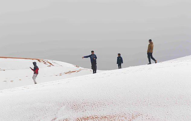 Иллюстрация 2