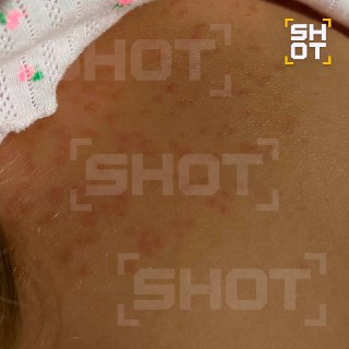 Иллюстрация 2