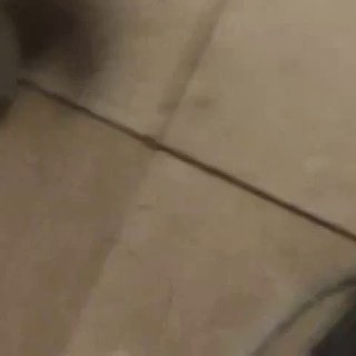 18 минут ужаса: хронология нападения в Crocus City Hall