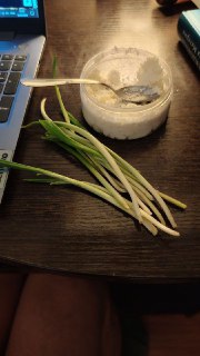 Жителю Подмосковья продали ядовитую траву под видом черемши