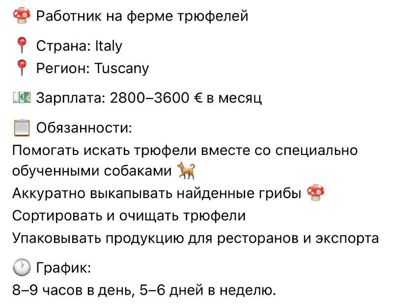 Итальянские фермы трюфелей ищут грибников с зарплатой ₽300 тыс. в месяц