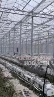 Иллюстрация 3