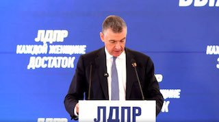 ЛДПР обсудила защиту прав женщин и призвала к системным решениям