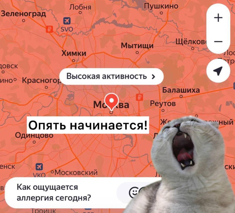 Советы аллергикам в Подмосковье: как пережить сезон пыльцы