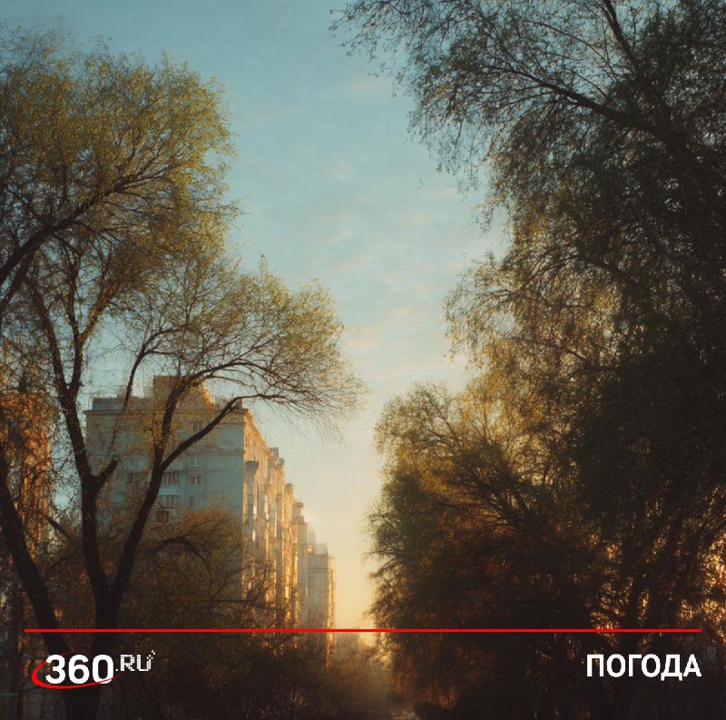 Столичный регион бьет температурные рекорды: ожидается до +15°C