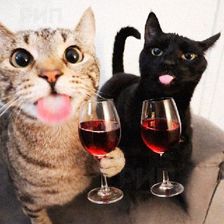 День романтической выпивки отмечается сегодня