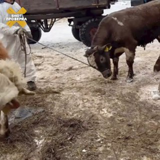 Иллюстрация 3