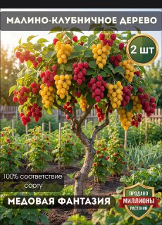 Российских бабушек массово разводят на маркетплейсах с помощью фейковых саженцев