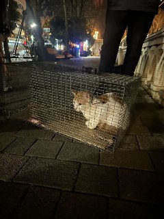 Иллюстрация 1