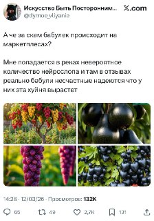 Афера с саженцами ИИ на маркетплейсах