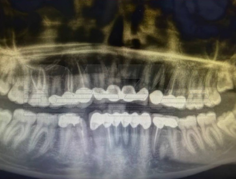 Иллюстрация 4