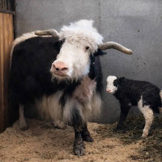 Иллюстрация 3