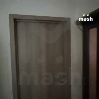 Иллюстрация 2