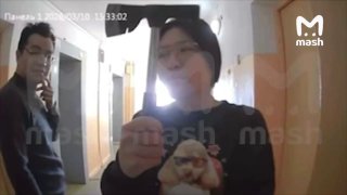 Иллюстрация 1