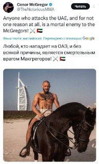 Макгрегор назвал врагом ОАЭ любого, кто атакует страну без причины