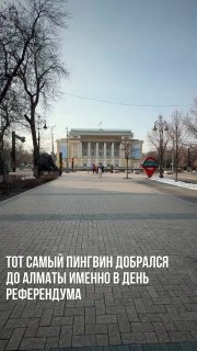 Иллюстрация 1