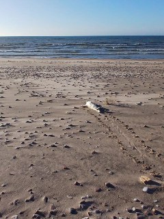 Иллюстрация 2