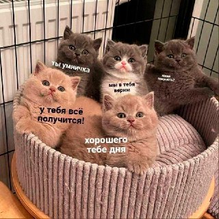 Сегодня отмечается день «Ты всё делаешь правильно»