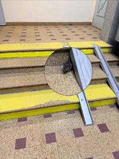 Иллюстрация 5