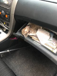 Иллюстрация 6