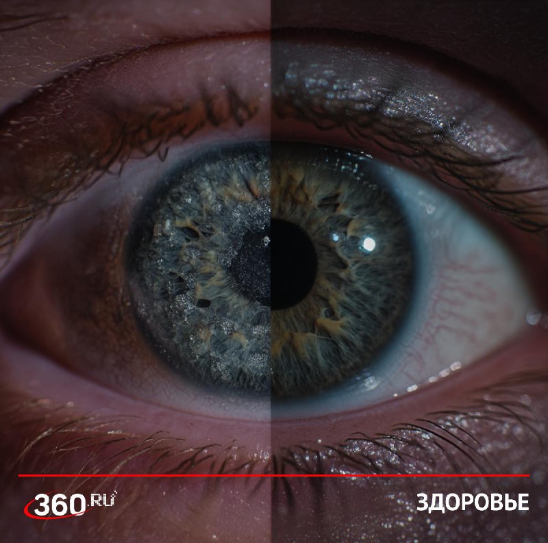 Ученые проверят препарат для омоложения клеток на людях