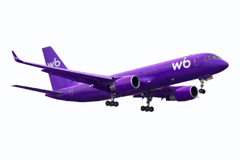 Wildberries может купить Azur Air