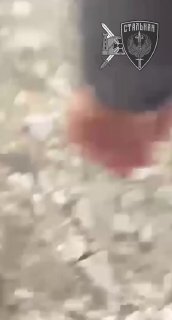 Война, протесты, улицы и снова война