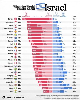 Израиль разозлил 79% японцев