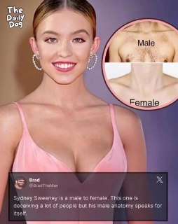 Иллюстрация 3