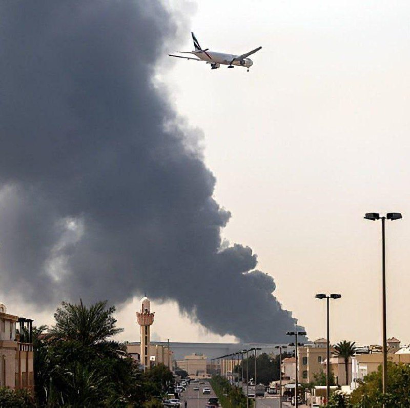 Иллюстрация 4