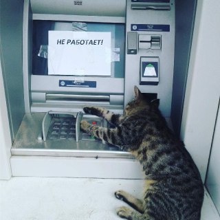 Иллюстрация 1