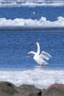 Иллюстрация 3