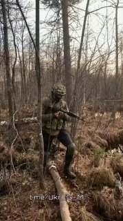 Иллюстрация 2