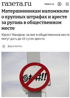 За мат в общественном месте россиян могут посадить в тюрьму на 15 суток
