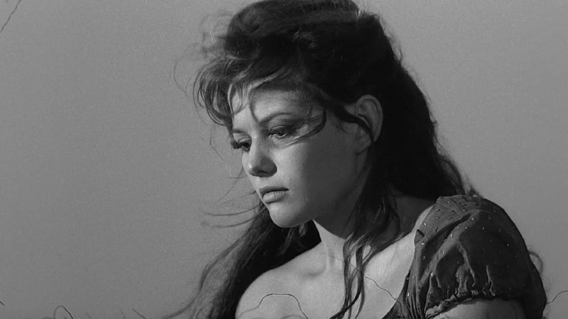 Иллюстрация 4