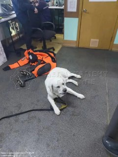 Иллюстрация 2