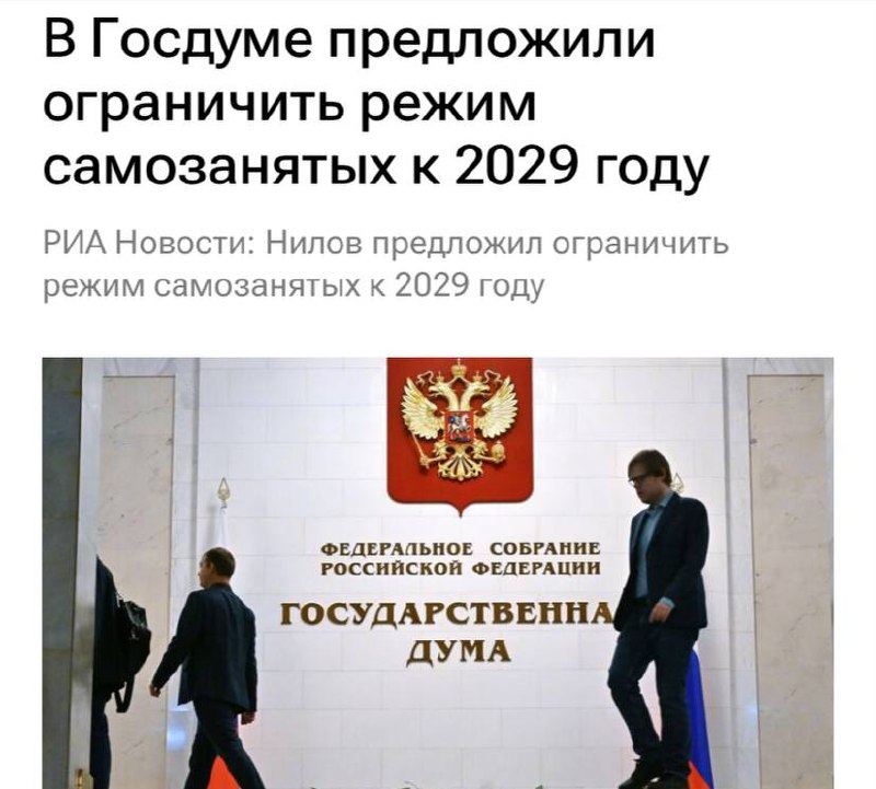 Депутат предложил запретить самозанятым работать с юрлицами после 2029 года