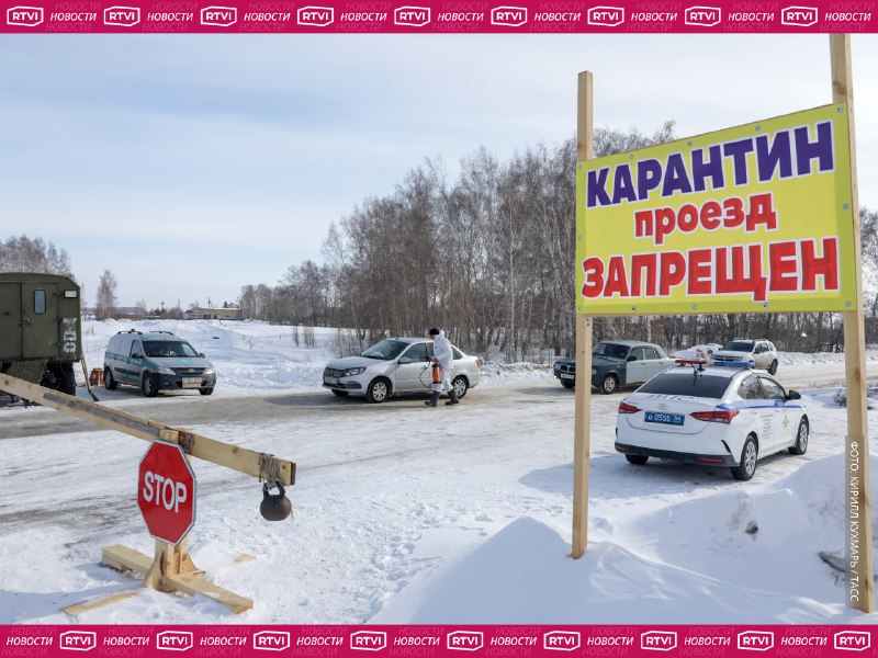 Депутаты призвали Мишустина вмешаться в ситуацию с изъятием скота у россиян