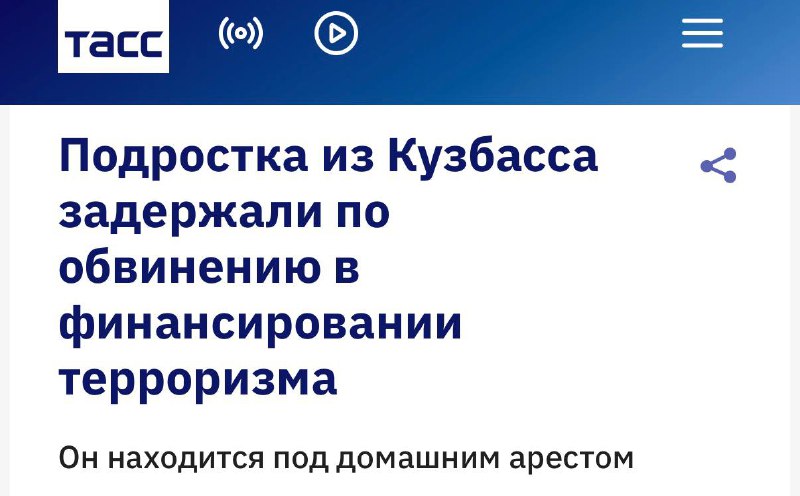 Подростка из Кузбасса задержали за платные реакции в канале террористической организации